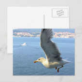 Luftpost Seagull Postkarte (Vorne/Hinten)
