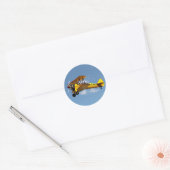 Luftpostbiplane Runder Aufkleber (Umschlag)