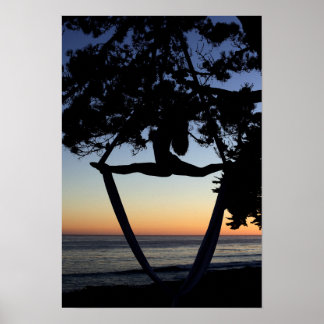 Luftseide bei Sonnenuntergang Vertikal Poster