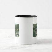 Luftsicht auf die Stadt und die BergeBurke, ID Tasse (Zentrum)