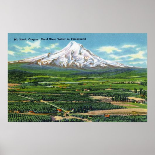 Luftsicht auf Hood River Valley and Mountain Poster (Vorne)