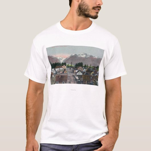 Luftsommer-Ansicht des CityValdez, AK T-Shirt (Vorderseite)