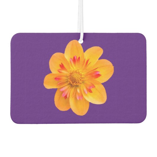 Luftverbesserungsblume Autolufterfrischer (Vorderseite)