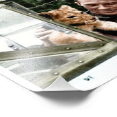 Luftwaffe Ace Franz von Werra und Simba Fotodruck (Ecke)