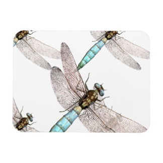 Luftwaffe der Libellen Magnet