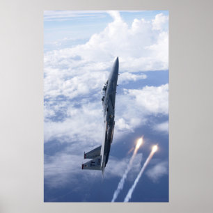 Luftwaffe F-15 Adler Poster
