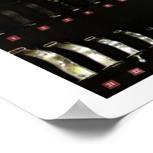 Luftwege1 Poster (Ecke)