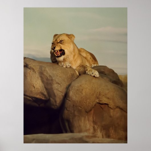 Lügnerei Poster (Vorne)