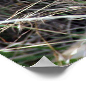 Lügnerin Poster (Ecke)