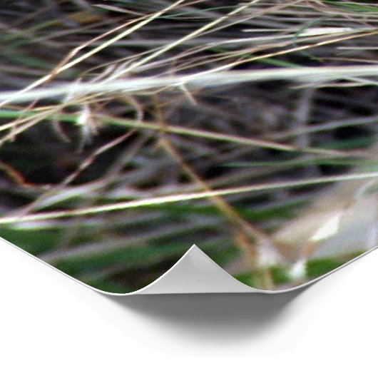 Lügnerin Poster (Ecke)