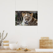 Lügnerin Poster (Küche)