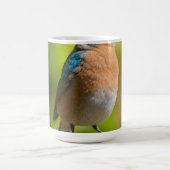 Luh Fit Bird Kaffeetasse (Mittel)