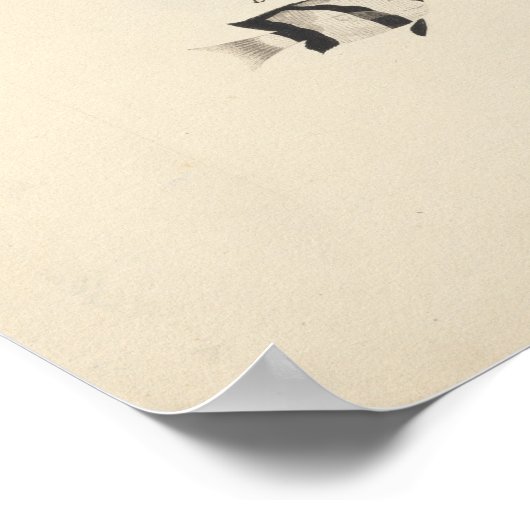 Luigi Balugani - Drei nicht identifizierte Fische Poster (Ecke)