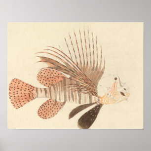 Luigi Balugani - Lionfish Poster