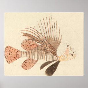 Luigi Balugani - Lionfish Poster