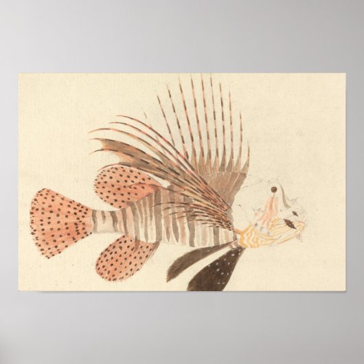 Luigi Balugani - Lionfish Poster (Vorne)