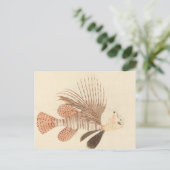 Luigi Balugani - Lionfish Postkarte (Stehend Vorderseite)