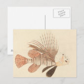 Luigi Balugani - Lionfish Postkarte (Vorne/Hinten)