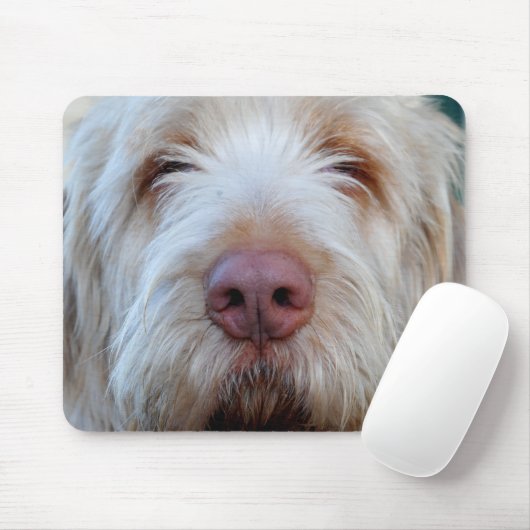 Luigi Booper Mousepad (Mit Mouse)