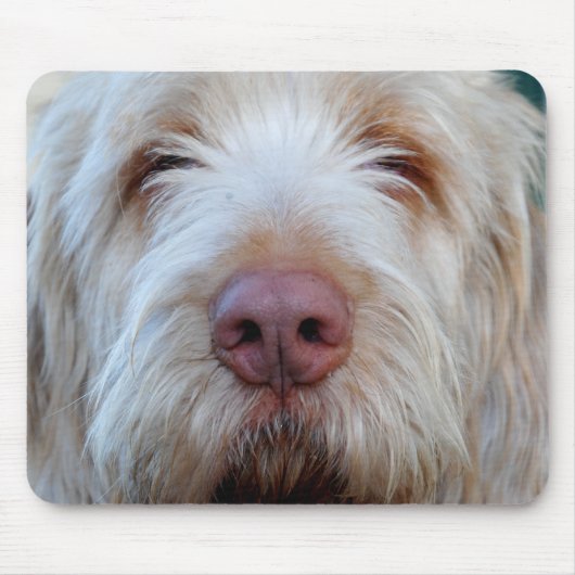 Luigi Booper Mousepad (Vorne)