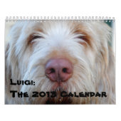 Luigi:  Der Kalender 2013 (Titelbild)