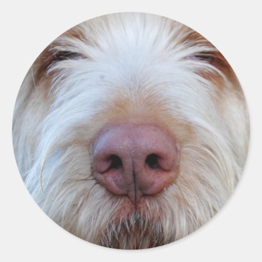 Luigis Booper-Aufkleber Runder Aufkleber (Vorderseite)