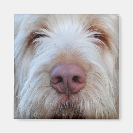 Luigis Booper-Kühlschrankmagnet Magnet (Vorne)