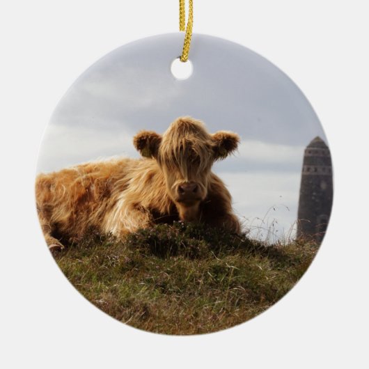 Luing Kuh auf der Insel von Islay, Schottland Keramikornament (Vorne)