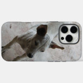 Luk Maa ... Thai Soi Puppy Dog Case-Mate iPhone Hülle (Rückseite (Horizontal))