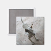 Luk Maa ... Thai Soi Puppy Dog Magnet (Vorderseite/Rückseite)