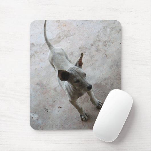 Luk Maa ... Thai Soi Puppy Dog Mousepad (Mit Mouse)