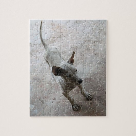 Luk Maa ... Thai Soi Puppy Dog Puzzle (Vertikal)