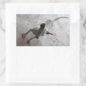 Luk Maa ... Thai Soi Puppy Dog Rechteckiger Aufkleber (Tasche)