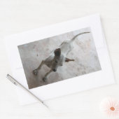 Luk Maa ... Thai Soi Puppy Dog Rechteckiger Aufkleber (Umschlag)