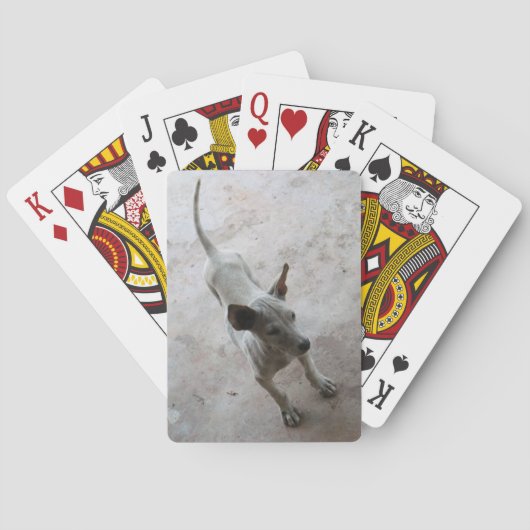 Luk Maa ... Thai Soi Puppy Dog Spielkarten (Rückseite)