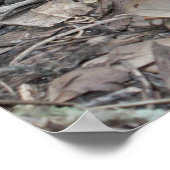 Luke 10:19 Bibelposter Poster (Ecke)