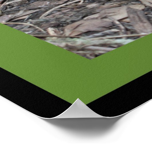 Luke 10:19 Scripture Poster (Version B) (Ecke)