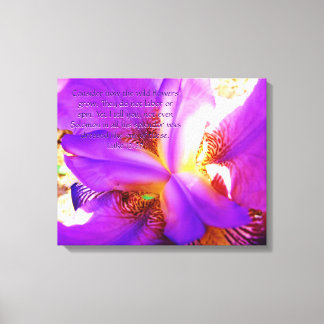 Luke 12:27 über Lila Iris Leinwanddruck