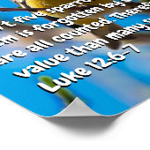 Luke 12:6-7 poster (Ecke)