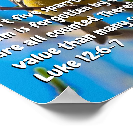 Luke 12:6-7 poster (Ecke)