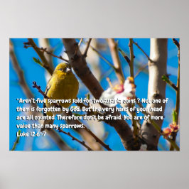 Luke 12:6-7 poster