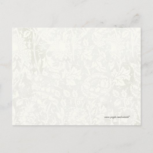 Luke 12:7 Sie sind wertvoller als viele Spatzen Postkarte (Rückseite)