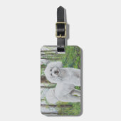 Luke der goldene gepäckanhänger (Vorderseite vertikal)