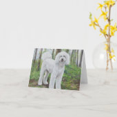 Luke die goldene karte (Gelbe Blume)