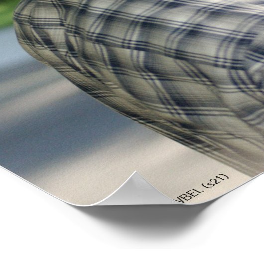 Luke und Lorelai Gilmore Poster (Ecke)