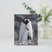 Lullaby Postcard Postkarte (Stehend Vorderseite)