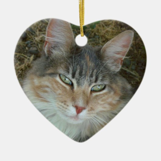 Lulu die Katze Keramikornament (Vorne)
