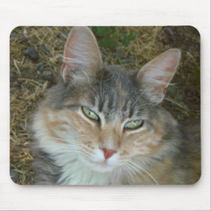 Lulu - Dosieren bei Noon Mousepad