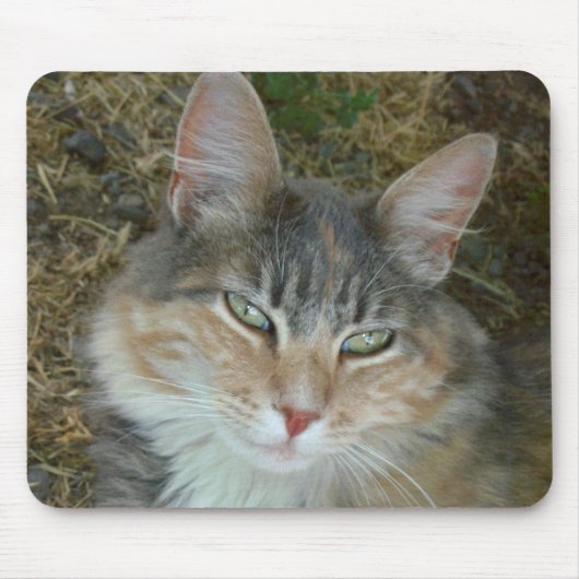 Lulu - Dosieren bei Noon Mousepad (Vorne)