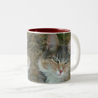 Lulu - Dosieren bei Noon Zweifarbige Tasse